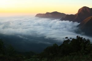 top-station-munnar