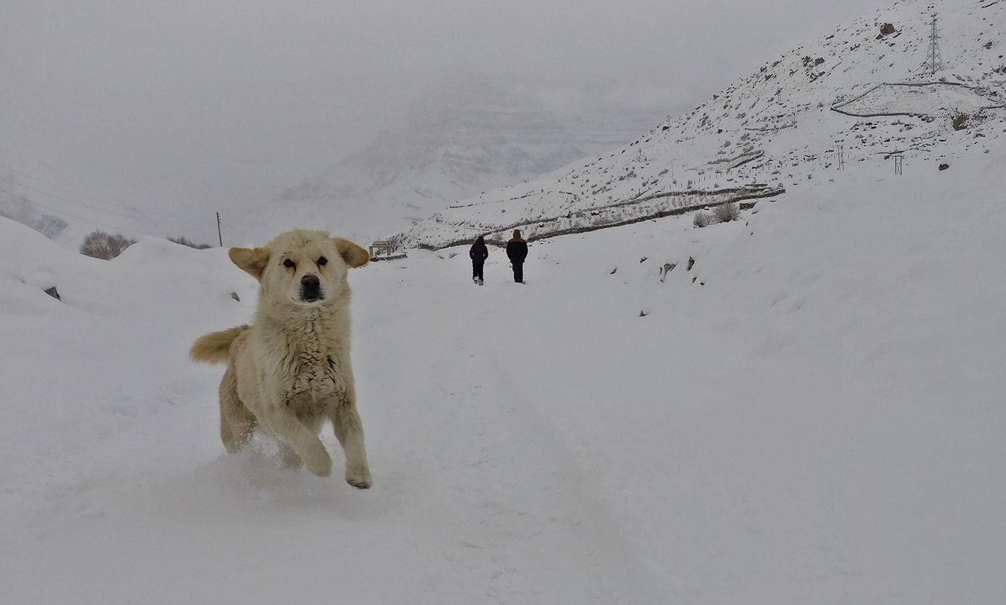 spiti-winter-adventure