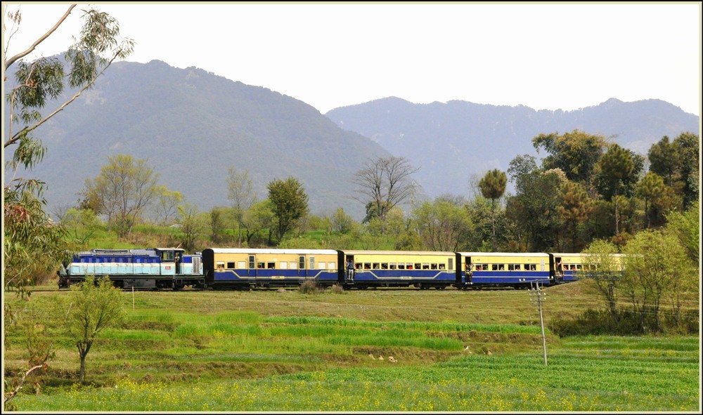 toytrain-palampur