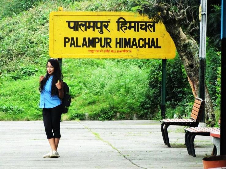 7 Reasons to Visit Palampur (Himachal Pradesh) this Summer
