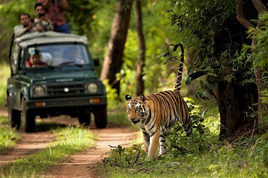 Chitwan National Park